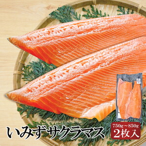 希少な高級魚 いみずサクラマス 2枚入(約750g～約850g)｜鮭 切身 マス
