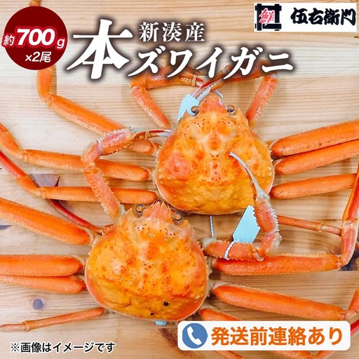 【伍右衛門】新湊産本ズワイガニ約700g×2尾｜海鮮 お祝い 集まり メニュー 冬の味覚 新鮮 国産 富山県産 ※離島への配送不可 ※2025年11月上旬～2026年3月中旬頃 ※発送まで1か月以上かかる場合があります。