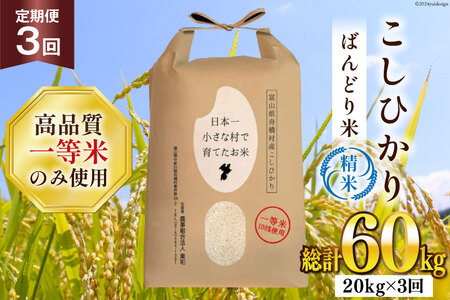 【3ヶ月定期便】【一等米100％】ばんどり米（コシヒカリ）精米 20kg（5kg×4袋） [農事組合法人東和 富山県 舟橋村 57050227] お米 白米 美味しい こしひかり 富山 農家