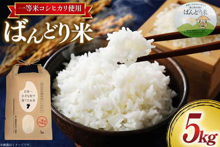 【期間限定発送】 米 令和7年 ばんどり米 コシヒカリ 精米 5kg [農事組合法人東和 富山県 舟橋村 57050201]