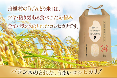 【期間限定発送】 米 令和7年 ばんどり米 コシヒカリ 精米 5kg [農事組合法人東和 富山県 舟橋村 57050201]