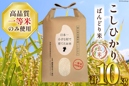 【一等米100％】ばんどり米（コシヒカリ）玄米 10kg＜農事組合法人 東和＞[ks210311]