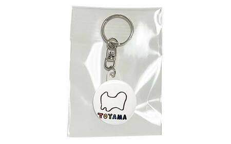 TV番組「夜の巷を徘徊する」紹介店 立山町の名所！癒しのイラスト A4 イラスト (フォトフレーム入り) 1個 キーホルダー 1個 ステッカー 1枚 セット 立山サンダーバード 雑貨 インテリア ポップアート 旅 旅行 思い出 富山県 立山町 F6T-427