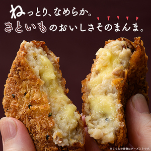 立山コロッケセット(プレーン2袋+チーズ2袋) 里芋 コロッケ 揚げ物 おかず お弁当 おつまみ 惣菜 小分け 冷凍 食品 農事組合法人いこいの杜 お歳暮 お中元 F6T-489