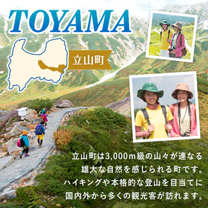 リピーター多数★ 宿泊券 山小屋含む宿泊施設 6,000円分 富山 とやま 立山 たてやま 登山 山登り 山歩き トレッキング アルペンルート 商品券 チケット 宿 宿泊 温泉 旅行 旅 観光 6000 6000円 富山県 立山町 F6T-431
