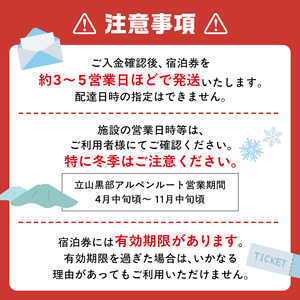 リピーター多数★ 宿泊券 山小屋含む宿泊施設 6,000円分 富山 とやま 立山 たてやま 登山 山登り 山歩き トレッキング アルペンルート 商品券 チケット 宿 宿泊 温泉 旅行 旅 観光 6000 6000円 富山県 立山町 F6T-431