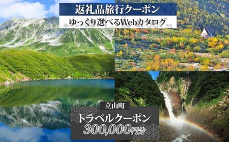 富山県 立山町 旅行クーポン 300,000 円分 キャンプ 体験 登山 観光 旅行 ホテル 旅館 老舗 高級 トラベル チケット 家族 カップル 宿泊 予約 おすすめ 父の日 母の日 旅行券 宿泊券 F6T-789