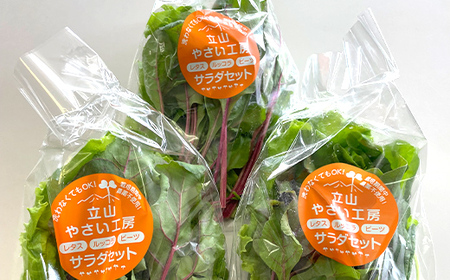 立山やさい工房のサラダセット(60g×6袋)の定期便年6回コース 富山県 立山町 F6T-250