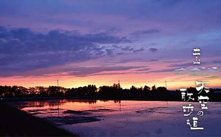 【先行予約】令和8年産 立山 天空の散歩道 吟撰米 特吟 精米 10kg×1袋 立山天空米 低温精米 国産 米 お米 日本米 ギフト 贈り物 備蓄 防災 食品 F6T-761