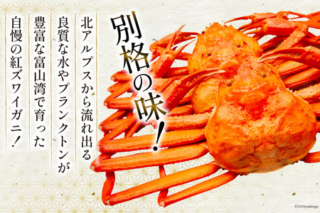【期間限定発送】 【漁師厳選】 訳あり 紅ズワイガニ ボイル済 中サイズ3～4杯 計1.2kg前後 [聖徳丸 富山県 朝日町 34310512]