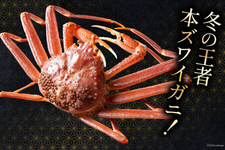 【期間限定発送】 【漁師厳選】生 本ズワイガニ 大サイズ1杯 (700g～800g前後) [聖徳丸 富山県 朝日町 34310514]