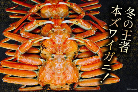 【期間限定発送】 【漁師厳選】 訳あり 本ズワイガニ ボイル済 2～4杯 計1kg前後 [聖徳丸 富山県 朝日町 34310515]