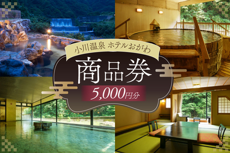 商品券 小川温泉 ホテルおがわ 1000円 5枚 計 5000円 [小川温泉開発 富山県 朝日町 34310496]