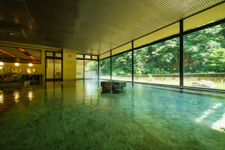 商品券 小川温泉 ホテルおがわ 1000円 5枚 計 5000円 [小川温泉開発 富山県 朝日町 34310496]