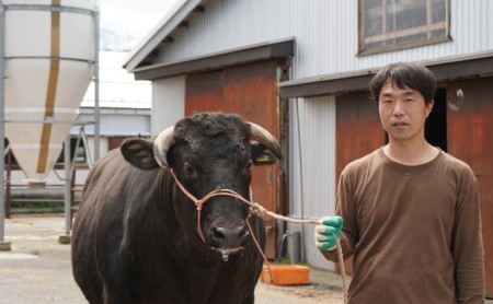 牛肉 とやま和牛 焼肉用 300g [JAみな穂 富山県 朝日町 34310364] 和牛 肉 焼肉 焼き肉 肩ロース A4ランク以上 朝日町産 冷凍