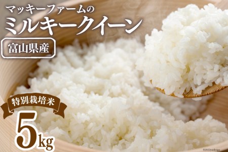 米 令和5年 特別栽培米 ミルキークイーン 精米 5kg / マッキーファーム