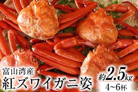 富山湾産 紅 ズワイガニ 姿 ボイル 約2.5kg（4～6杯） [寺田鮮魚店 富山県 朝日町 34310445] かに カニ 蟹 かにみそ カニ味噌 蟹味噌 新鮮 冷蔵 朝捕れ