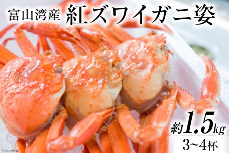 富山湾産 紅 ズワイガニ 姿 ボイル 約 1.5kg（3～4杯） [寺田鮮魚店 富山県 朝日町 34310444]