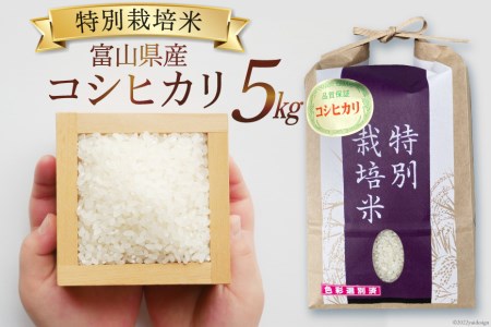 米 令和5年 特別栽培米 コシヒカリ 精米 5kg / マッキーファーム