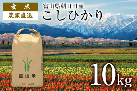 玄米 10kg コシヒカリ 令和4年 ご飯 ごはん 農家直送 / クリーンみず穂 / 富山県 朝日町