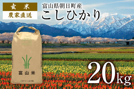 玄米 20kg コシヒカリ 令和4年 ご飯 ごはん 農家直送 / クリーンみず穂 / 富山県 朝日町