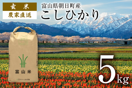玄米 5kg コシヒカリ 令和4年 ご飯 ごはん 農家直送 / クリーンみず穂 / 富山県 朝日町