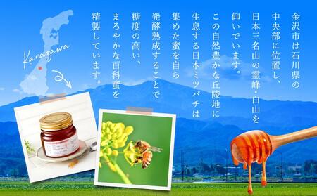 幻の日本ミツバチからの贈り物 純粋はちみつ300g×2瓶 白山ひめみつ