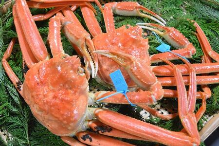 【訳あり】金沢港より直送！サイズおまかせボイル加能ガニ 2杯セット 蟹 かに 