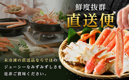 【訳あり】金沢港より直送！サイズおまかせボイル加能ガニ 3杯セット 蟹 かに