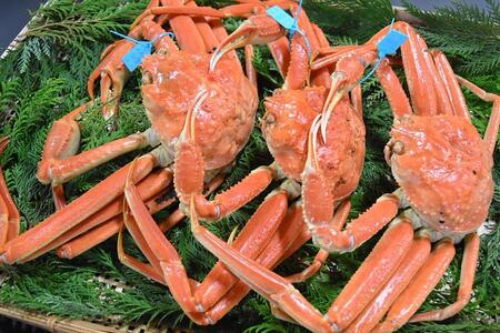 【訳あり】金沢港より直送！サイズおまかせボイル加能ガニ 3杯セット 蟹 かに