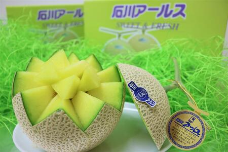 【2026年先行予約】JA金沢市 アールスメロン 2玉