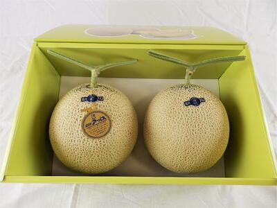 【2026年先行予約】JA金沢市 アールスメロン 2玉