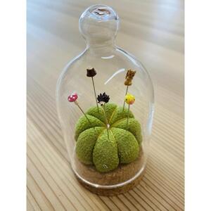 【予約受付】沢からのお針山　新針物語～森～