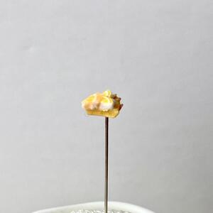 金沢からのお針山　新針物語～ティータイム～