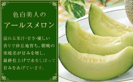【2026年 先行予約】石川 アールスメロン 1.3kg×2個