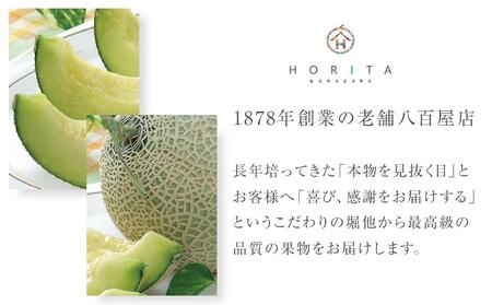 【2026年 先行予約】石川 アールスメロン 1.3kg×2個