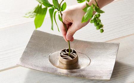 花をみずみずしく長持ち!針のない剣山 / the earth