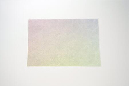 友禅シート ランチョンマット 【初春】