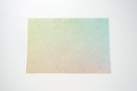 友禅シート　ランチョンマット　【冬】