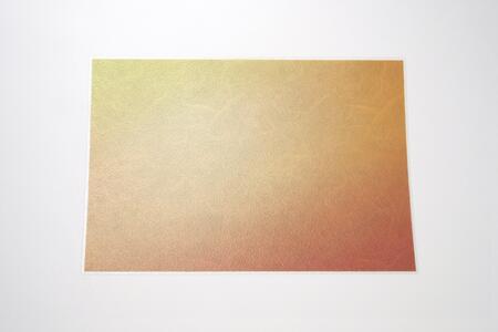 友禅シート　ランチョンマット　【野ブドウ(オレンジ)】