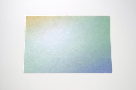 友禅シート　ランチョンマット　【野ブドウ(ブルー)】