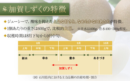 【2026年8月下旬以降発送】【先行予約】加賀しずく梨 6~10個