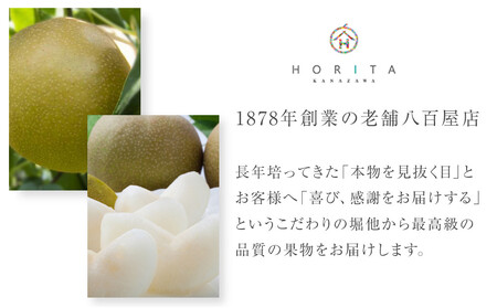 【2026年8月下旬以降発送】【先行予約】加賀しずく梨 6~10個