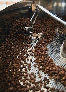 【コーヒー豆 100g × 3種】Seasonal selection [季節のおすすめセット]