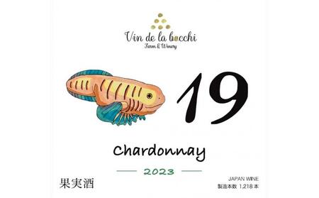 No.19 Chardonnay 2023(シャルドネ)750ml×1本 ワイン 白ワイン