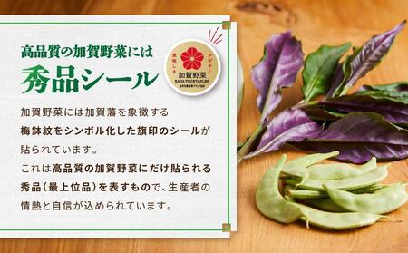 【全10回】JA金沢市 季節の加賀野菜・金沢地物野菜セット頒布会（毎月１回）  石川 金沢 加賀百万石 加賀 百万石 北陸 北陸復興 北陸支援