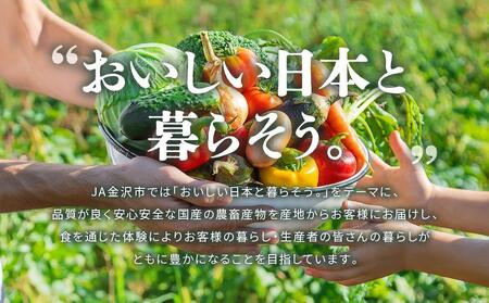 【全10回】JA金沢市 季節の加賀野菜・金沢地物野菜セット頒布会（毎月１回）  石川 金沢 加賀百万石 加賀 百万石 北陸 北陸復興 北陸支援