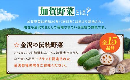 【数量限定】JA金沢市 季節の加賀野菜・金沢地物野菜セット  石川 金沢 加賀百万石 加賀 百万石 北陸 北陸復興 北陸支援