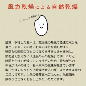 米 新米 令和7度産 石川県産 こしひかり 5kg 特別栽培米 棚田米 白米