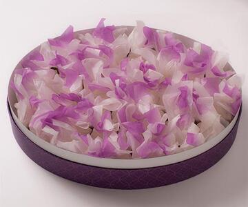 金沢 大和百貨店 選定 〈うら田〉愛香菓40個入